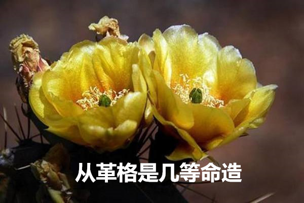 从革格是几等命造