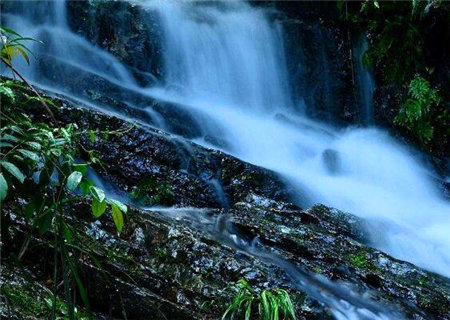 什么是八字润下格 什么是八字润下格