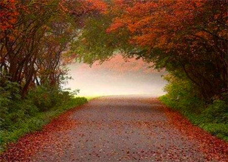 渊海子平之幽微赋 渊海子平之幽微赋