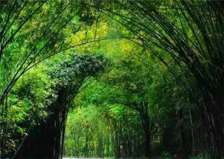 渊海子平之幽微赋 渊海子平之幽微赋