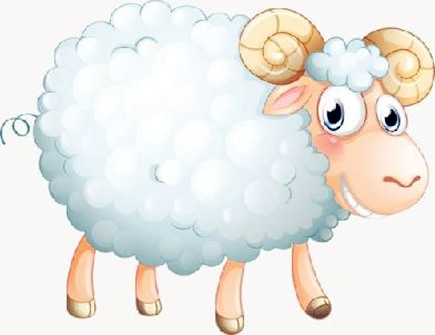 属羊本命年的大忌是什么