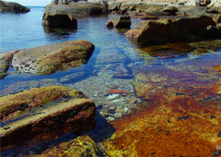 消失的八字断命口诀 消失的八字断命口诀