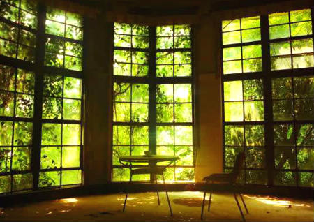 房子阴气重如何化解 房子阴气重如何化解