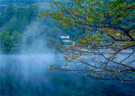 八字中什么是福德秀气格