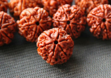 金刚菩提几瓣的最好 金刚菩提几瓣的最好