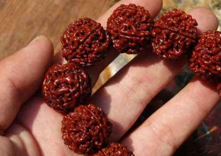 金刚菩提盘玩效果图 金刚菩提盘玩效果图