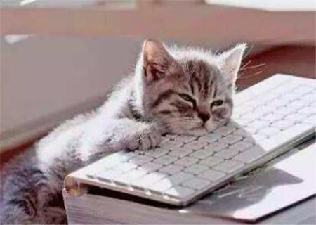 比较懒的人的八字特征 比较懒的人的八字特征