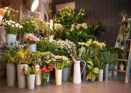 寓意好唯美的店铺名