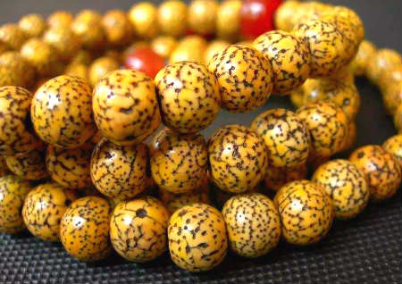 星月菩提变色过程照片