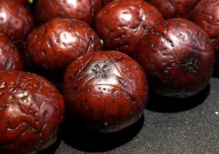 龙眼菩提怎么盘玩 龙眼菩提怎么盘玩