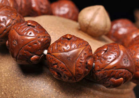 凤眼和龙眼菩提哪个好 凤眼和龙眼菩提哪个好