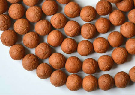 什么样的龙眼菩提最好 什么样的龙眼菩提最好