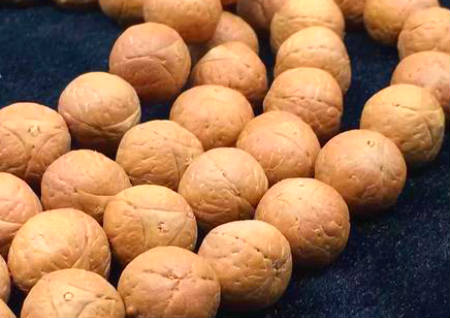 什么样的龙眼菩提最好 什么样的龙眼菩提最好