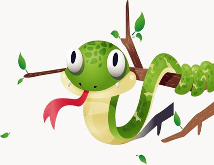 属蛇人一生的幸运数字