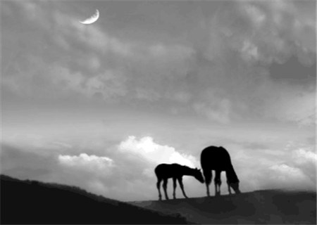 易发横财的八字格局