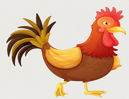 属鸡人最怕什么属相 属鸡人最怕什么属相