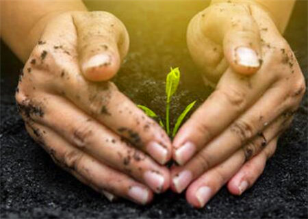 八字扶抑格是什么意思 八字扶抑格是什么意思