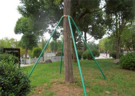 八字扶抑格是什么意思 八字扶抑格是什么意思