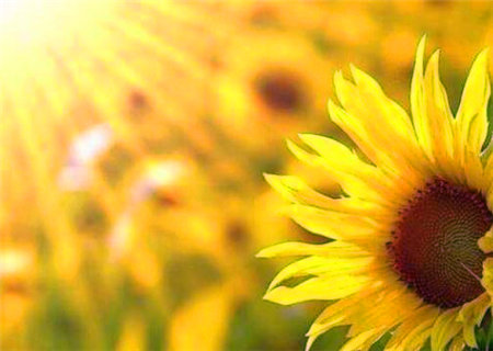 铁口直断之杂论赋 铁口直断之杂论赋