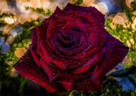 铁口直断之杂论赋 铁口直断之杂论赋