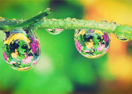 巾箱秘术之癸酉日各月命断口诀 巾箱秘术之癸酉日各月命断口诀