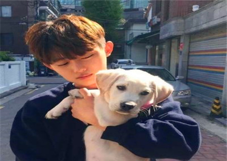 男生温暖治愈网名 男生温暖治愈网名