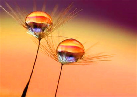 八字命理之十八口诀精髓