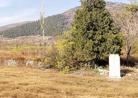 七种阴宅最好的坐向