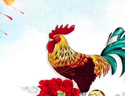 细数属鸡女的缺点