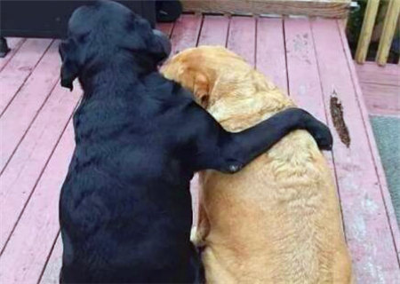 八字推断兄弟的好坏与关系如何 八字推断兄弟的好坏与关系如何