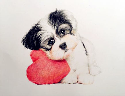 细数属狗男的优点