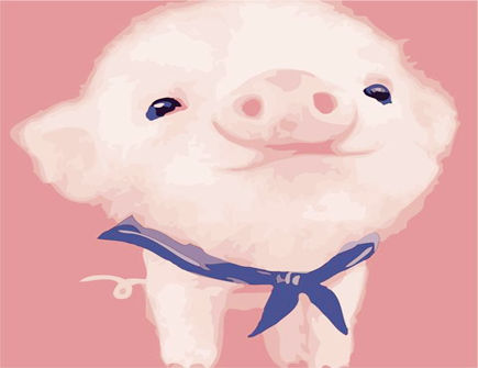 细数属猪男的优点