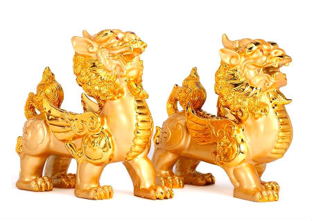 财位不能放什么东西 财位不能放什么东西