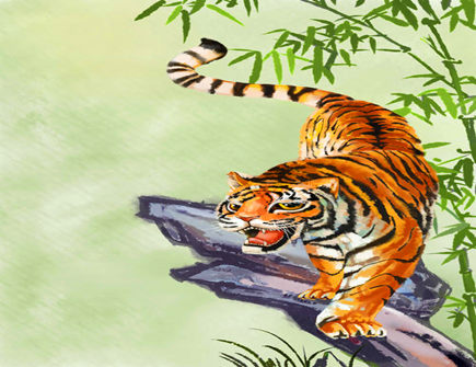 属虎人会在几岁结婚