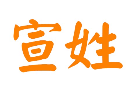 姓宣的女孩新颖名字