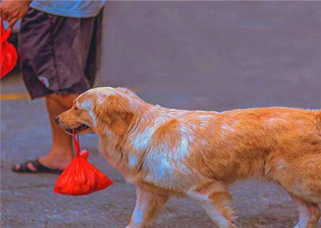 忠心耿耿之人的八字特征 忠心耿耿之人的八字特征