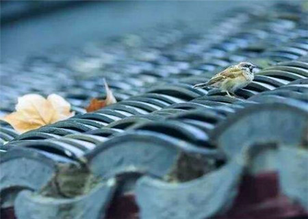 话多爱说闲话的八字特征 话多爱说闲话的八字特征