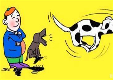 什么样的八字爱仗势欺人 什么样的八字爱仗势欺人