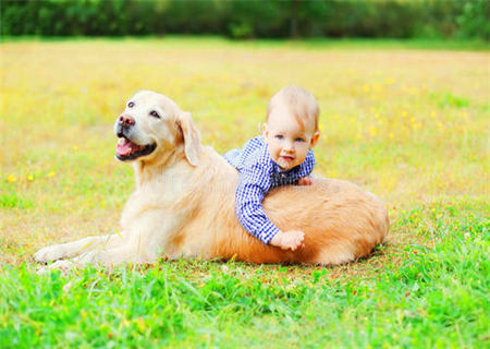 崔姓的男孩名字洋气 崔姓的男孩名字洋气
