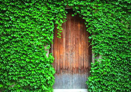 大门口不能放三样东西