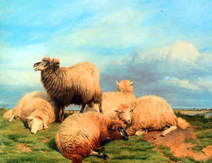 属羊的五大贵人是哪些