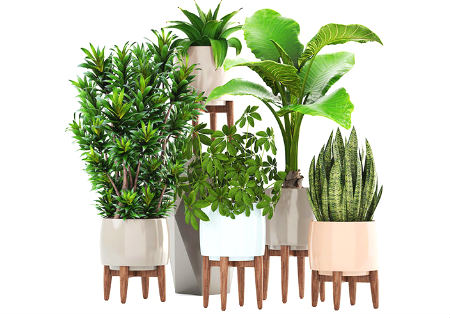 厕所正对厨房风水好不好 厕所正对厨房风水好不好