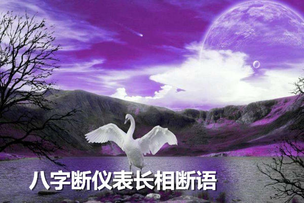 八字断仪表长相断语 八字断仪表长相断语