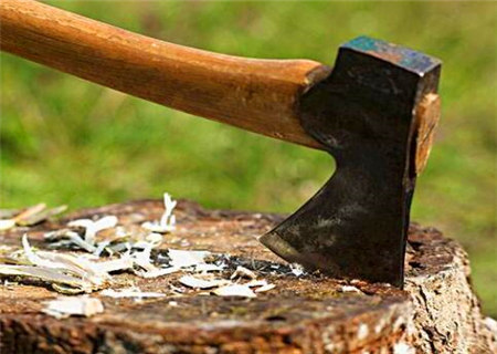 十二地支寅木与其他地支的关系