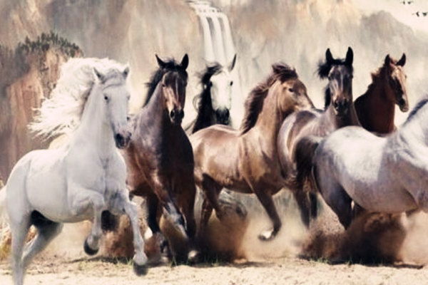 有驿马星的男人命好不好