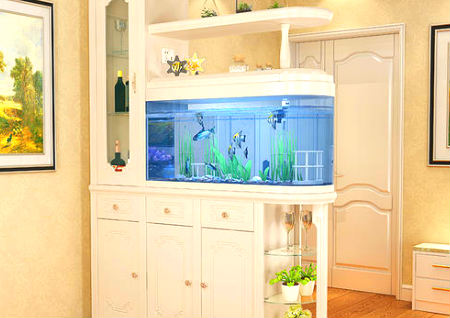 鱼缸对进户门好不好