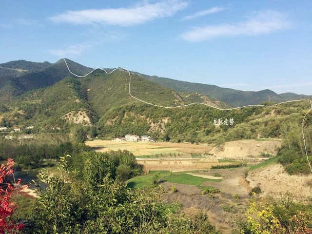 蜂腰鹤膝指的是什么? 蜂腰鹤膝指的是什么?