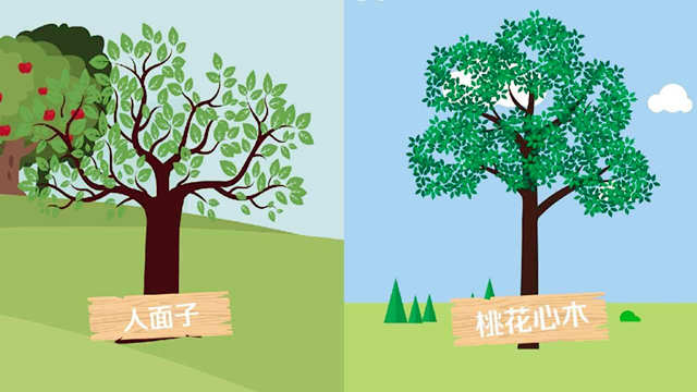 院子里面有树风水好不好? 院子里面有树风水好不好?