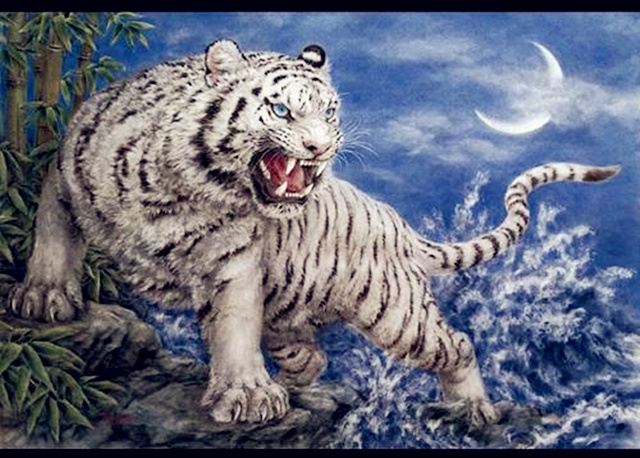 阳宅的白虎开口煞指是什么? 阳宅的白虎开口煞指是什么?