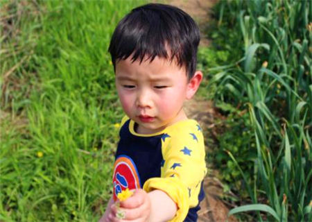 富姓男孩新颖名字